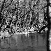 wading on the shore