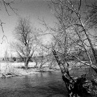 by the river shore